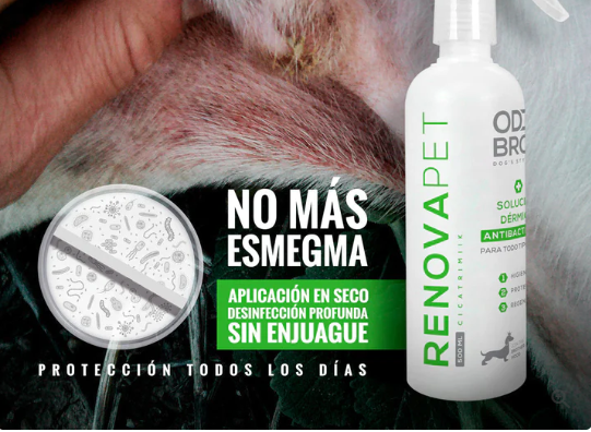 🐾GATOS - RENOVAPET 🐱 Adiós Al Sarro 😻