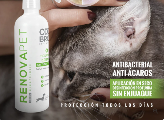 🐾GATOS - RENOVAPET 🐱 Adiós Al Sarro 😻