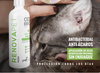 🐾GATOS - RENOVAPET 🐱 Adiós Al Sarro 😻