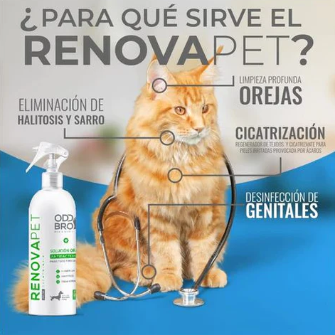 🐾GATOS - RENOVAPET 🐱 Adiós Al Sarro 😻