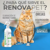 🐾GATOS - RENOVAPET 🐱 Adiós Al Sarro 😻