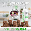 🐾GATOS - RENOVAPET 🐱 Adiós Al Sarro 😻