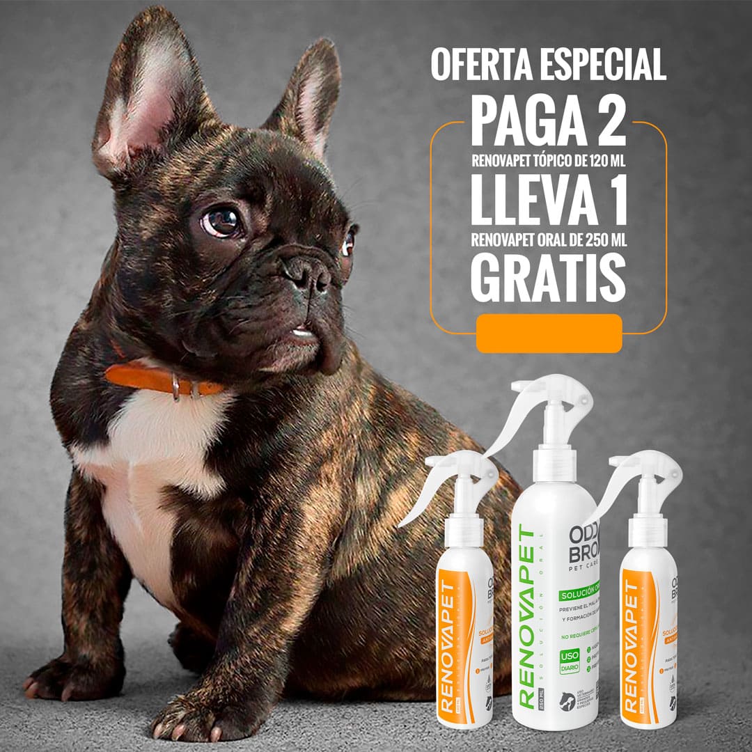 Renovapet Tópico 🐶 - Protege La Piel De Bacterias & Ácaros