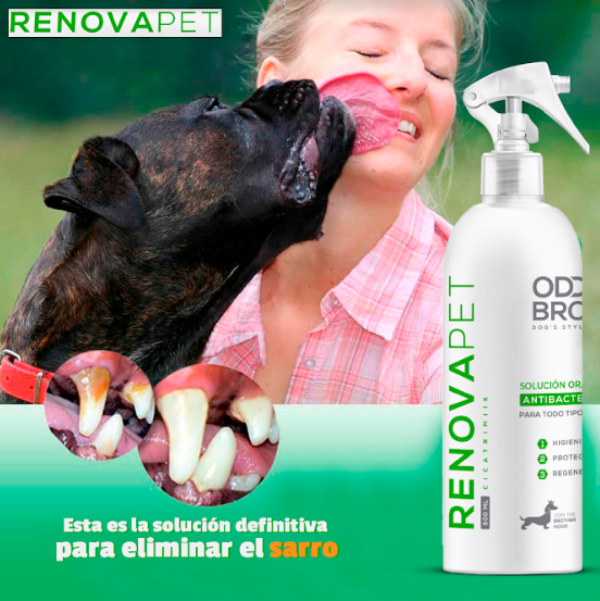 🐾RENOVAPET 🐶 Adiós Al Sarro 😻