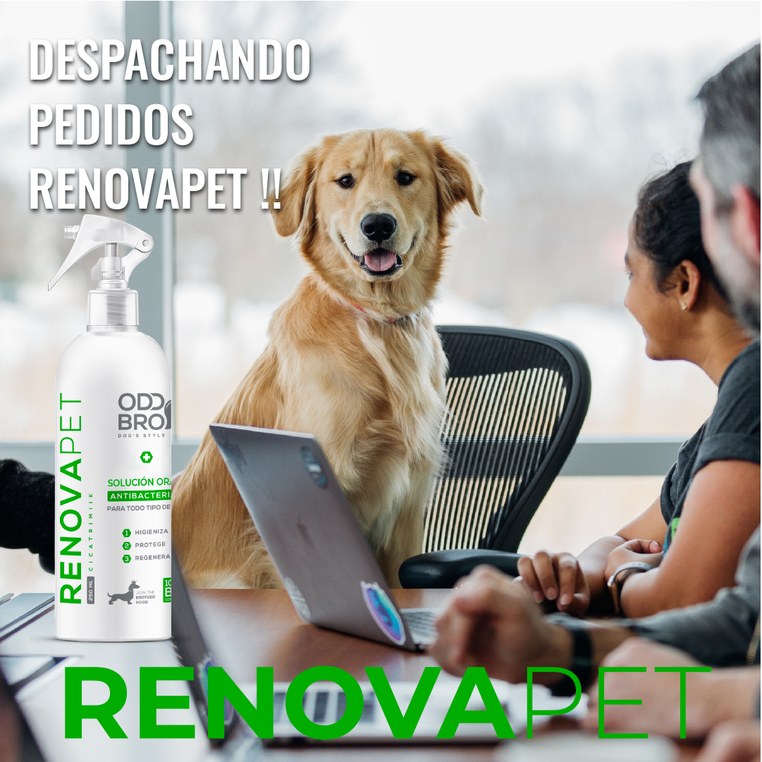 🐾RENOVAPET 🐶 Adiós Al Sarro 😻